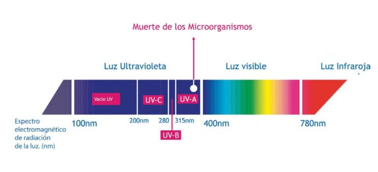 Espectro electromagnético de la luz mostrando rangos de ultravioleta, visible e infrarrojo con indicación de muerte de microorganismos en UV-C