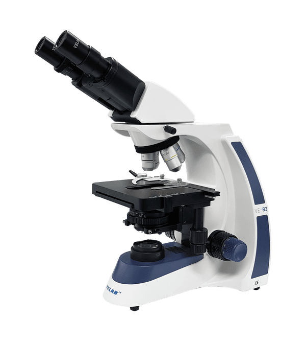 Microscopio binocular Velab VE-B2 para laboratorio clínico