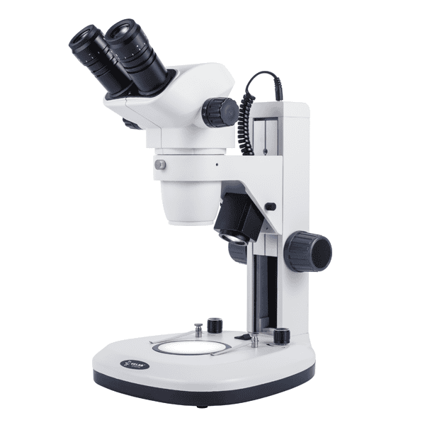 Microscopio estereoscópico binocular Velab VE-S6 con sistema de zoom.